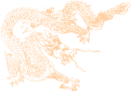 Seitenbild Farbe:ffcc99